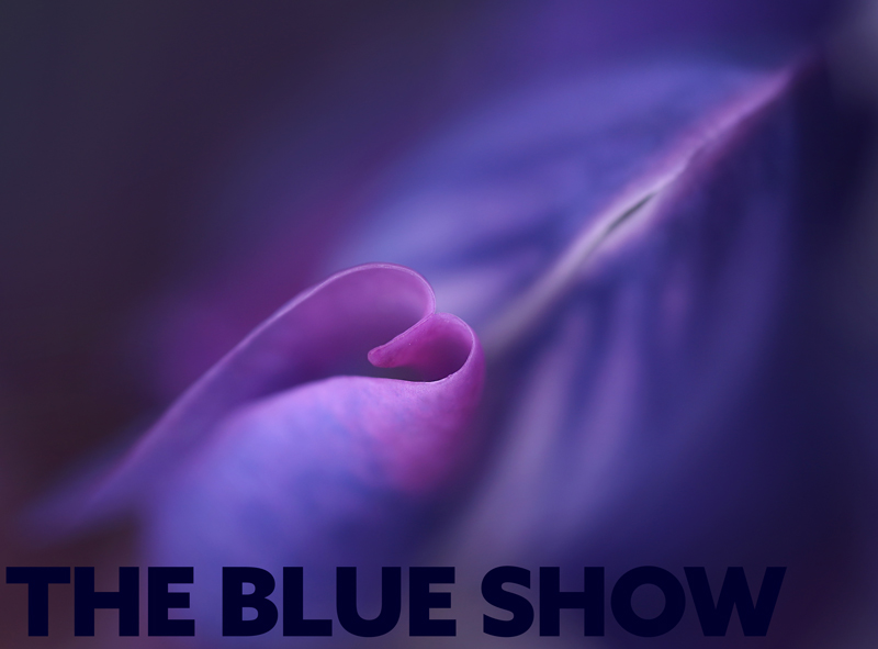 blue-show-base