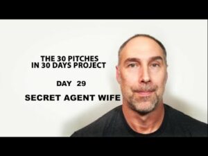 30 Pitches in 30 Days - Day 29 - Secret Agent Wife (2020)